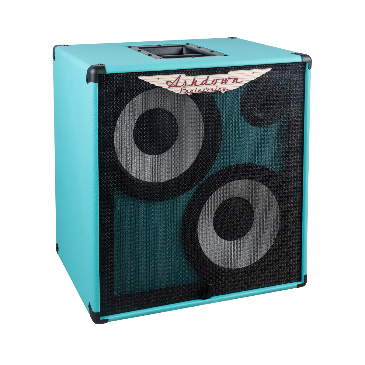 RM-210T-EVO II Super Lightweight Bass Cabinet - Image 10