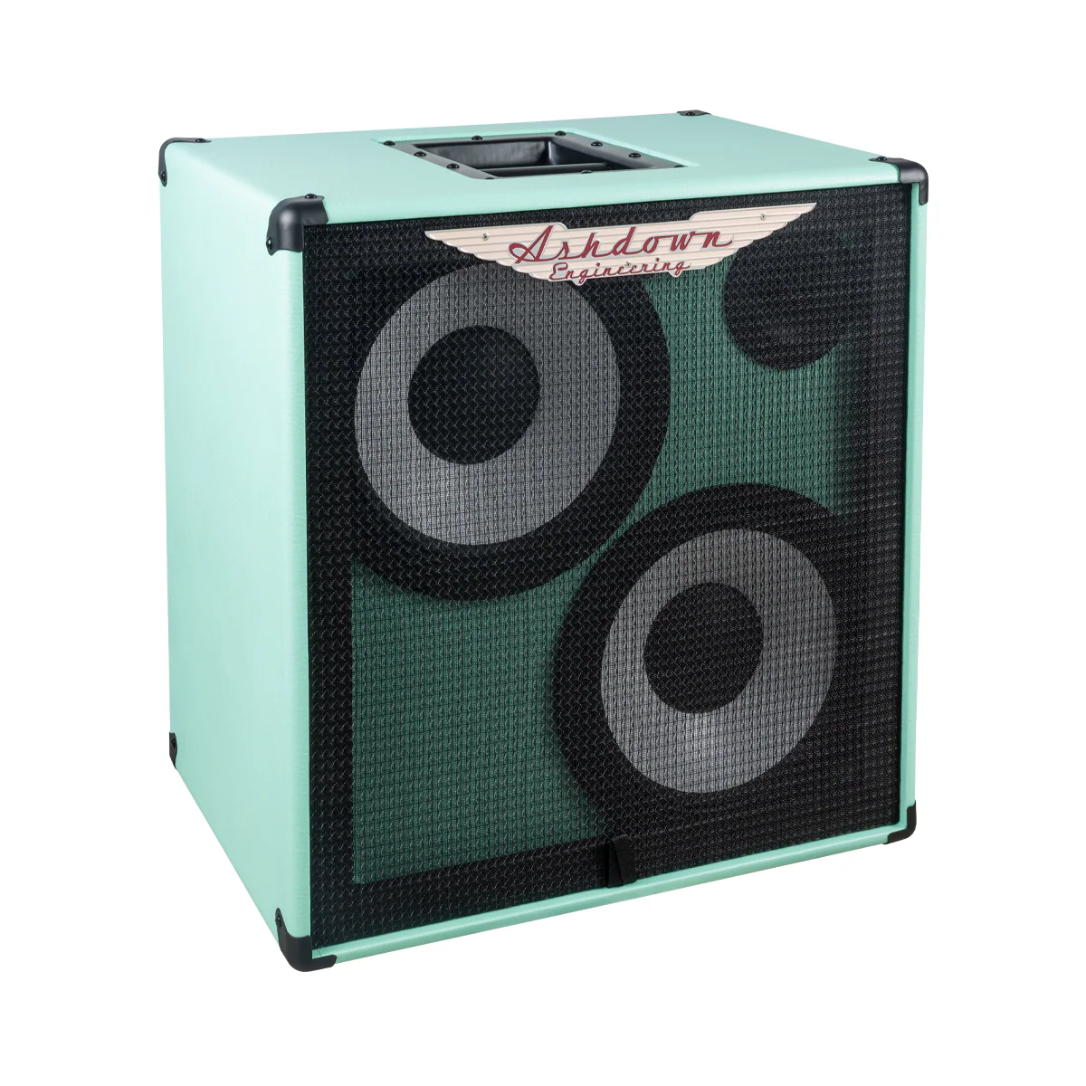 RM-210T-EVO II Super Lightweight Bass Cabinet - Image 26